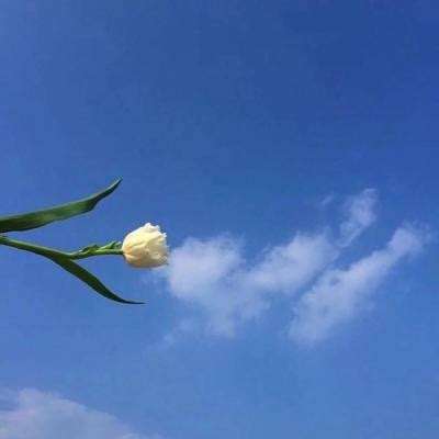 魔兽塔防手机版下载